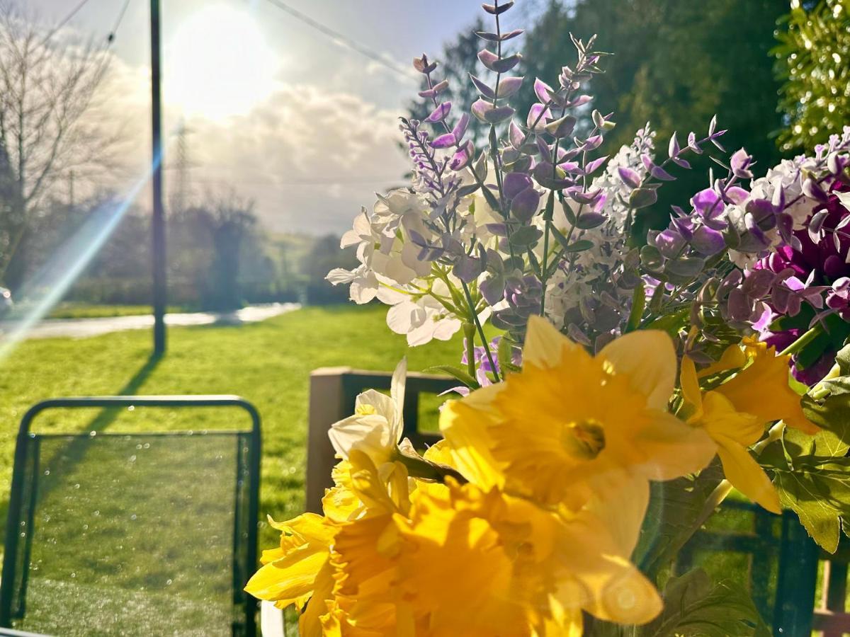 Three Bedroom Rural, Relaxing And Peaceful,Dogs Welcome! With Cymru Holidays Abergavenny Exteriér fotografie